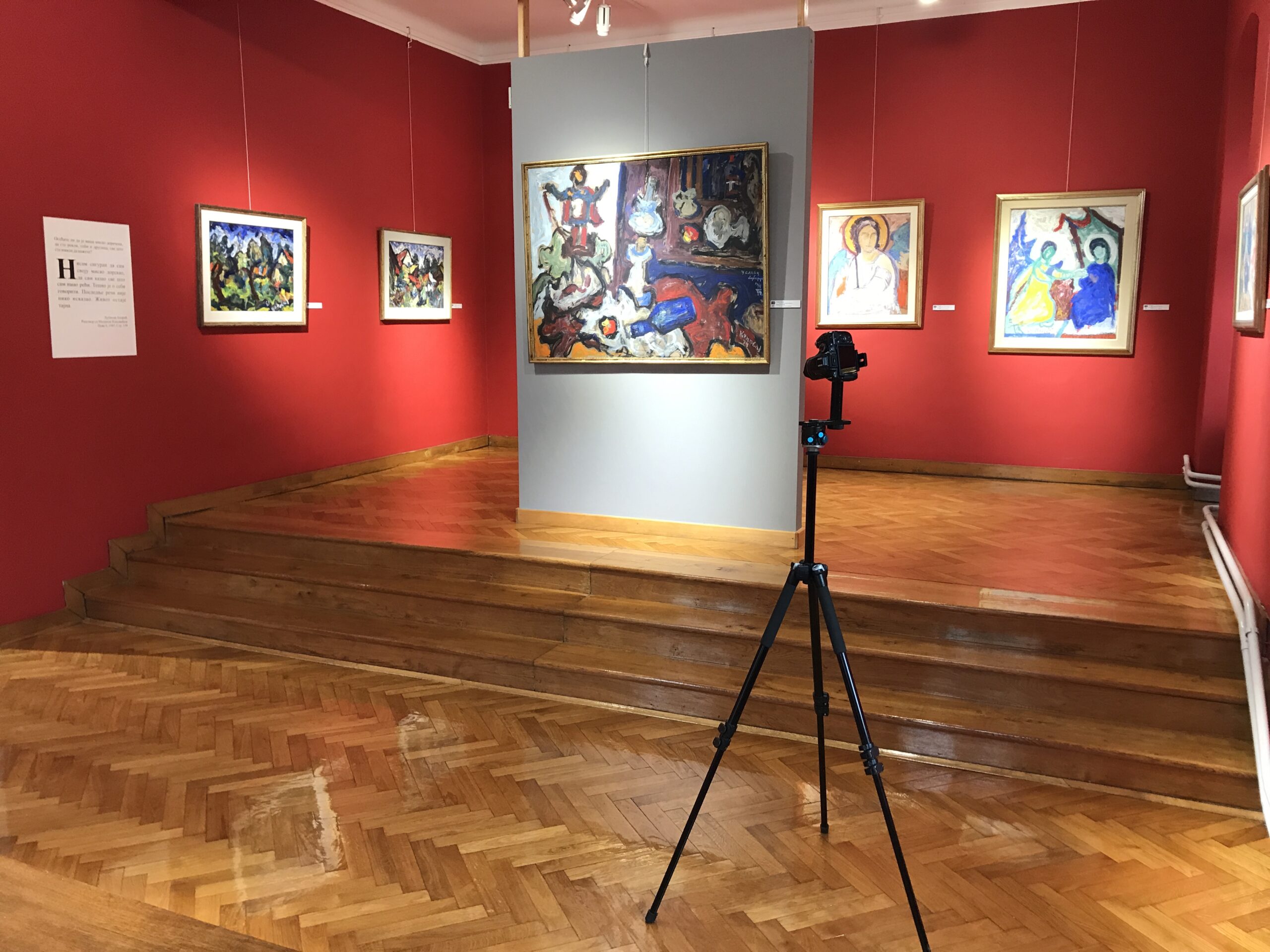 slikanje galerije Milan Konjović u Somboru