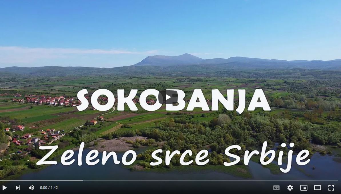sokobanja